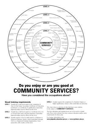 Bullseye - Community Services.png